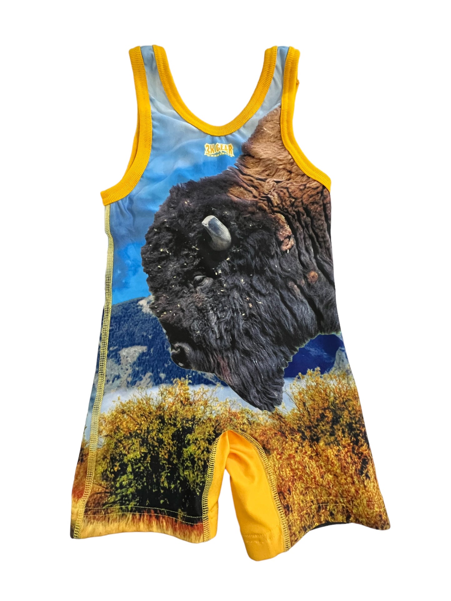 Wyoming Singlet Mountain-Bison