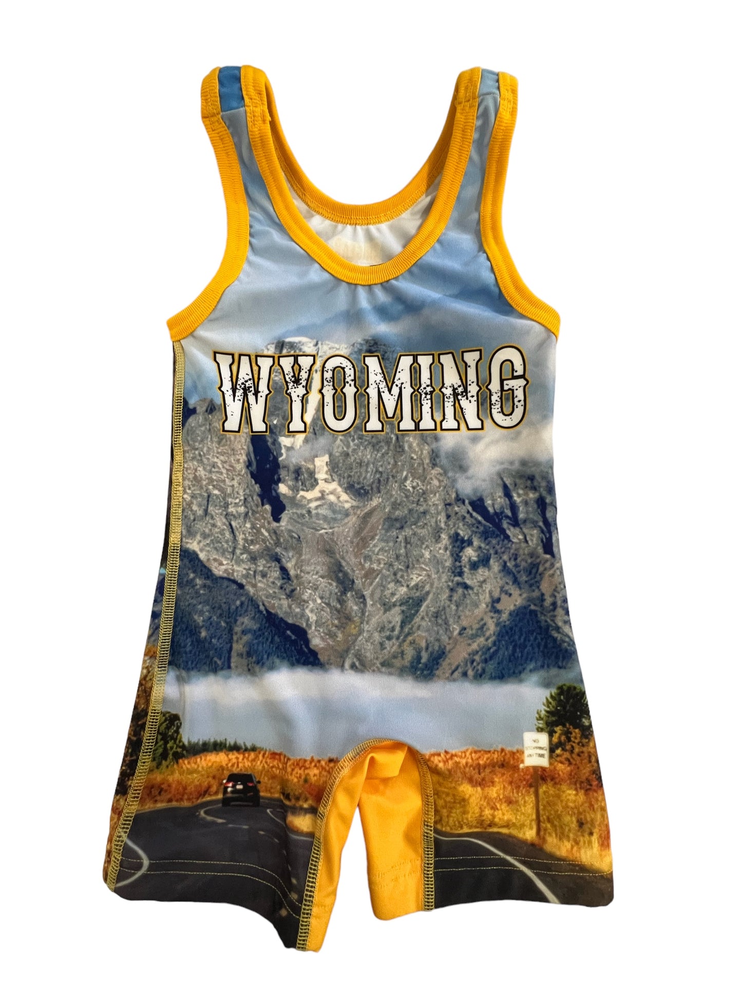 Wyoming Singlet Mountain-Bison